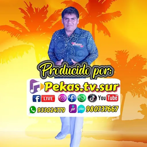 Radio Pekas TV Sur